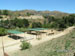 New Pasture