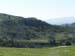 Grassy Meadows