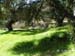 Mountain Meadows Stables - Pasture Boarding