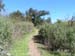 Trails